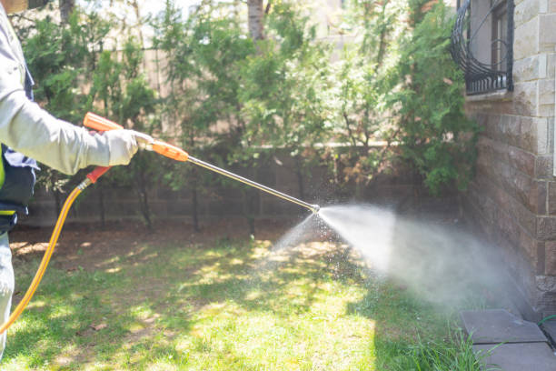 Best Affordable Pest Control Services  in Valle Vista, AZ