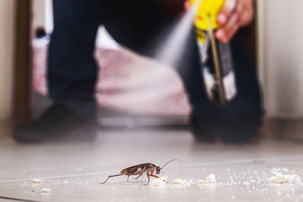 Best Commercial Pest Control Services  in Valle Vista, AZ