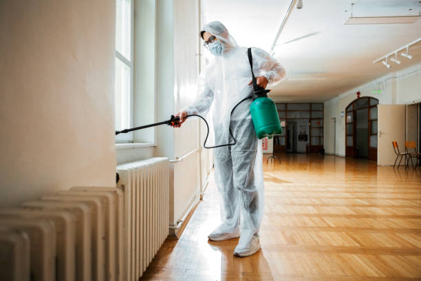 Best Pest Removal Services  in Valle Vista, AZ